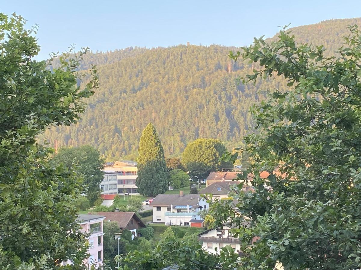 Apartment Baerenfelsblick Wehr  Esterno foto